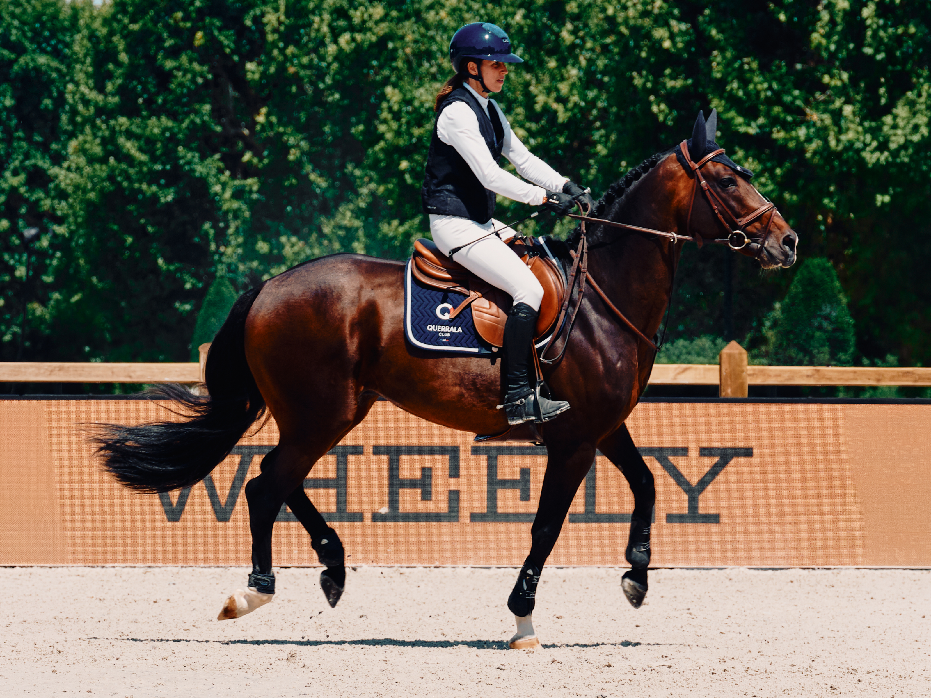 EssentialPage LGCTLondon Main